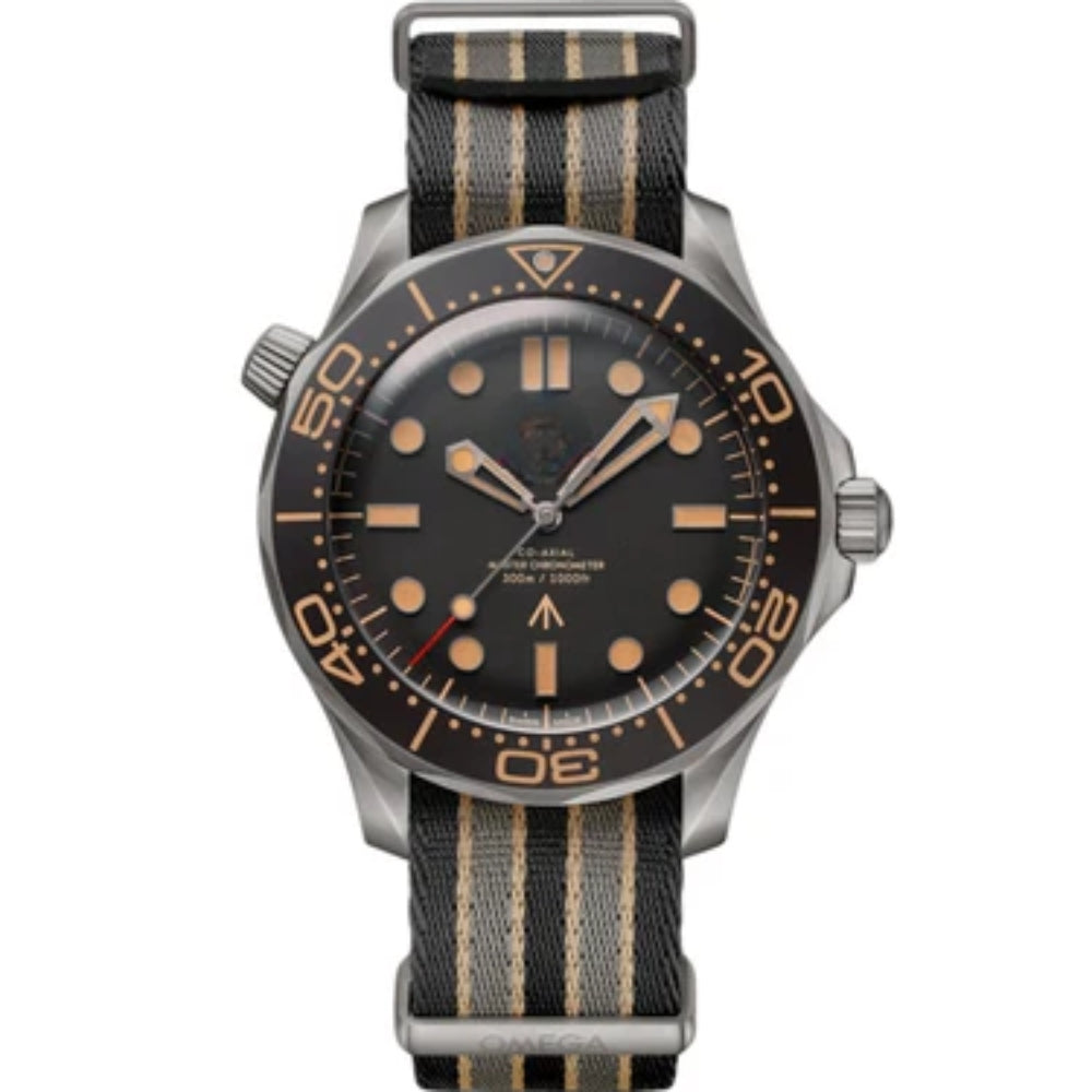 Seamaster Diver 007 